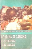 GRADINA DE LEGUME DE PRIMAVARA PANA TOAMNA-VALENTIN VOICAN, VICTOR POPESCU-348974