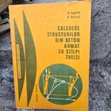 CALCULUL STRUCTURILOR DIN BETON ARMAT CU STALPI ZVELTI - R. AGENT