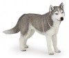 PAPO FIGURINA HUSKY SIBERIAN, Rase De Caini Si Pisici