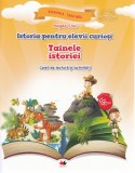Istoria pentru elevii curiosi. Tainele istoriei - Caiet de lectura si activitati - Editura Litera