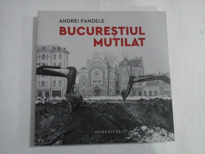 BUCURESTIUL MUTILAT - ANDREI PANDELE foto