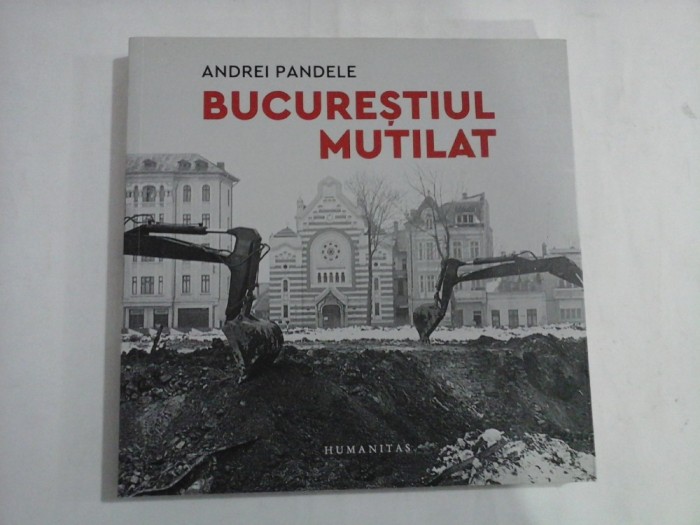 BUCURESTIUL MUTILAT - ANDREI PANDELE