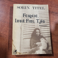 Femeie,iata fiul tau de Sorin Titel