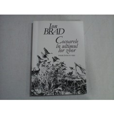 COCOARELE IN ULTIMUL LOR ZBOR - POEME INTR-UN VERS - ION BRAD