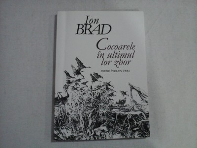 COCOARELE IN ULTIMUL LOR ZBOR - POEME INTR-UN VERS - ION BRAD foto