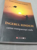 INGERUL IONDUH-CARTEA TRANSPARENTEI MELE /DEDICATIE SI AUTOGRAF AUTOR / /2021