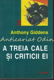 A Treia Cale Si Criticii Ei - Anthony Giddens
