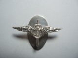 ROMANIA - INSIGNA MINIATURA PILOT MILITAR MODEL 1931, CAROL II, IM1.217