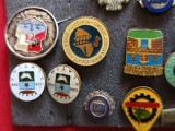 INSIGNE VINTAGE , 40 lei bucata
