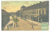 5411 - LUGOJ, Timis, Shopping Street, Romania - old postcard - used - 1911 - TCV