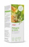 Dr. Max Sirop patlagina si miere, 245ml