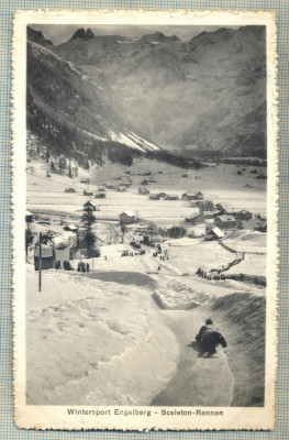 AD 110 C. P. VECHE -WINTERSPORT ENGELBERG-SCELETON-RENNEN- ELVETIA-CIRCULATA1917 foto