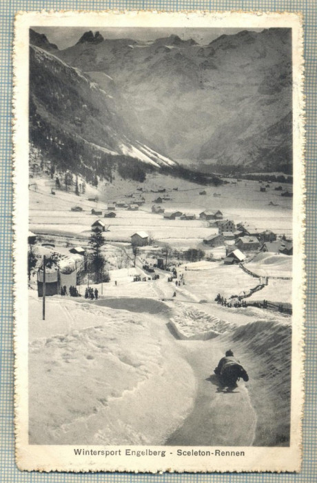 AD 110 C. P. VECHE -WINTERSPORT ENGELBERG-SCELETON-RENNEN- ELVETIA-CIRCULATA1917