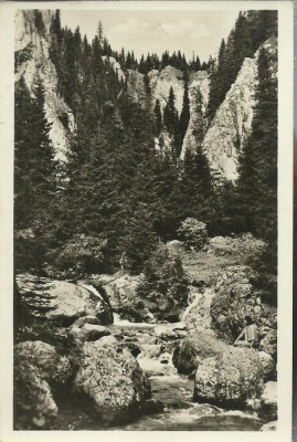 AMS# - VEDERE BUCEGI - CHEILE IALOMITEI RPR SEPIA LUCIOASA NECIRCULATA foto