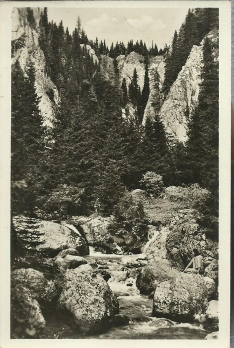 AMS# - VEDERE BUCEGI - CHEILE IALOMITEI RPR SEPIA LUCIOASA NECIRCULATA