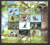 RAROTONGA 2018 FAUNA PASARI DE PRADA