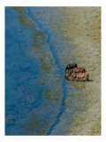 Tablou Canvas, "Trei cai l&acirc;ngă apă liniștită", Ape, Cai, Iarbă, Mal, Natură, Liniște, Reflecție., 26 x 39 cm, CMCLASS