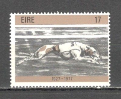 Irlanda.1977 50 ani cursele de caini SI.42 foto