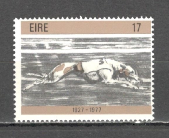 Irlanda.1977 50 ani cursele de caini SI.42