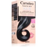 Delia Cosmetics Cameleo Taste My Hair vopsea de păr semipermanentă culoare 1 buc
