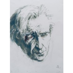 EXPRESIE - EMIL CIORAN, Manuell Mănăstireanu