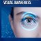 The relationship between attention and visual awareness