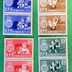 TIMBRE ROMANIA MNH LP555/1963 Camp.mond.impotriva foametei-Serie în pereche