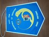 Fanion club LIONS FRANTA SPLENDID