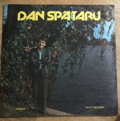 Vinil(5) Dan Spataru foto