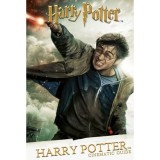 Cinematic Guide: Harry Potter