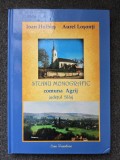 STUDIU MONOGRAFIC COMUNA AGRIJ JUDETUL SALAJ - Holhos, Losonti