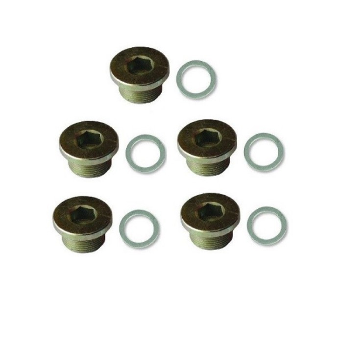Set 5 dopuri + 5 saibe pentru 9151 (M17x1.5)