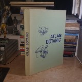 LUCIA POPOVICI - ATLAS BOTANIC , 1994 *