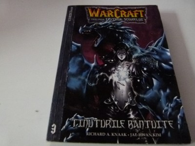 Warcraft - banda desenata foto