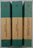 Simbolismul european (3 volume) &ndash; Zina Molcut, Magdalena Laszlo-Kutiuk