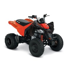 Can-Am DS 250 &amp;#039;23 foto