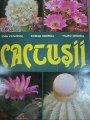CACTUSII- SORIN COPACESCU, BOGDAN BABIRNAC SI VALERIU GRIOGORAS, CRAIOVA 1984 foto