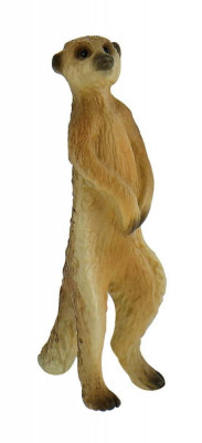 Meerkat - Figurina animal foto