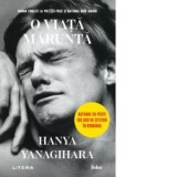 O viata marunta - Hanya Yanagihara