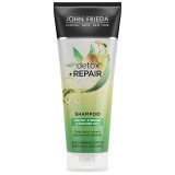 Sampon reparator pentru par deteriorat Detox + Repair, 250ml, John Frieda