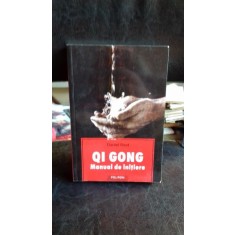QI GONG. MANUAL DE INITIERE - DANIEL REID