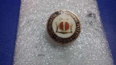 insigna Combinatul petrochimic Pitesti foto