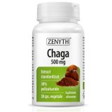 Chaga 500mg Extract Standardizat, 30 capsule vegetale, Zenyth