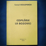 COPILARIE LA BOZOVICI - CORNEL GOLOPENTIA - MODUS P. H. 2002