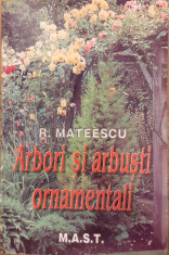 Arbori si arbusti ornamentali foto