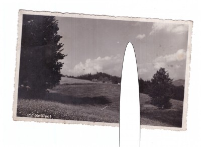 CP Sebisel (prezent Sebesel), interbelica, necirculata, stare foarte buna foto