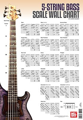 5-String Bass Scale Wall Chart foto