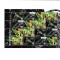 Tonga 2016 - Fauna WWF - IGUANE - BL - nestampilat - Michel 40 Eur