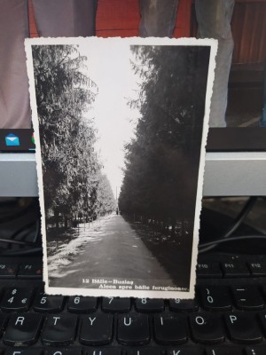 Băile Buziaș, Aleea spre băile feruginoase, edit. Klauber nr 12, 1936, 205 foto