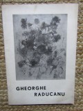 Gheorghe Răducanu, catalog, Expoziția de pictură, București feb.-mar. 1969